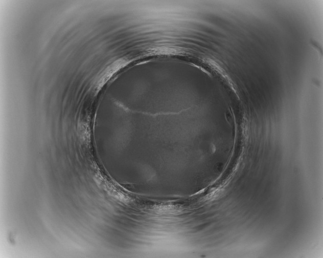 X0000102491025200808151451