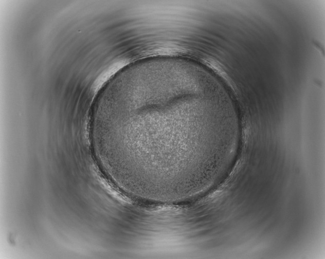 X0000102491026200808151451