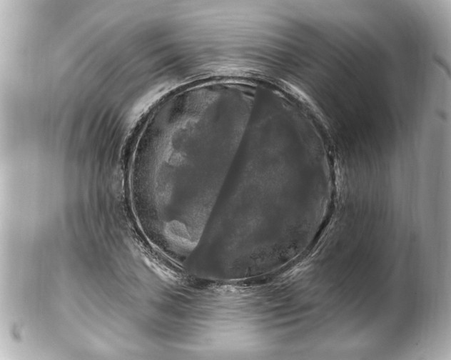 X0000102491027200808151451