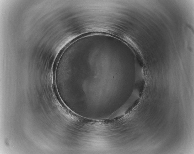 X0000102491028200808151451