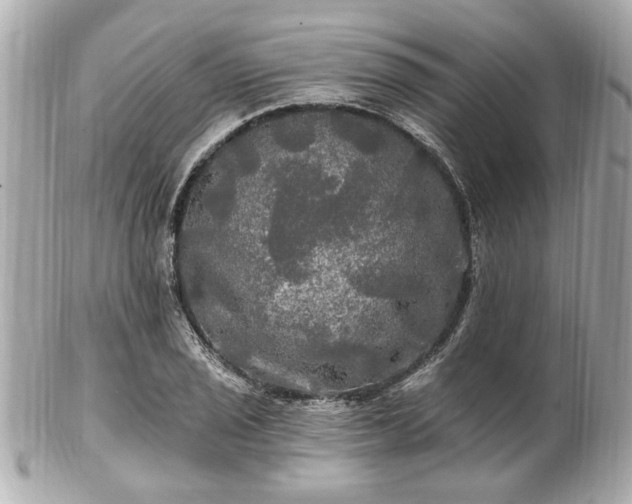 X0000102491029200808151451