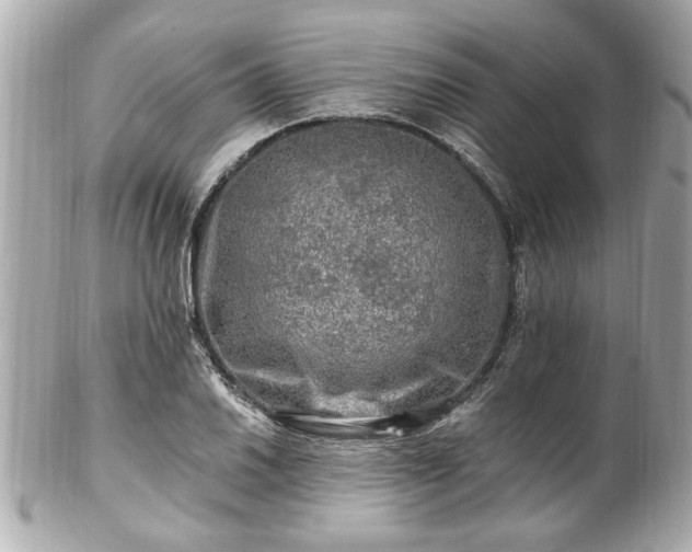 X0000102491030200808151451