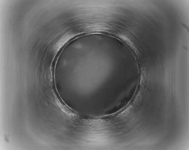 X0000102491031200808151451