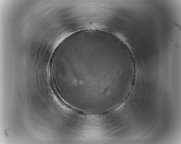 X0000102491032200808151451