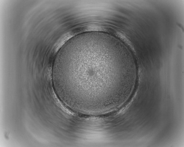 X0000102491033200808151451