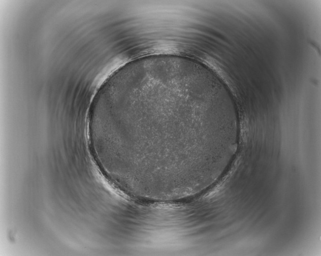 X0000102491034200808151451