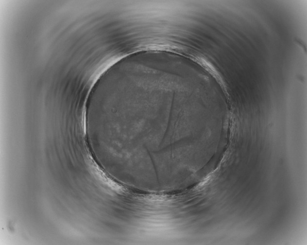 X0000102491036200808151451