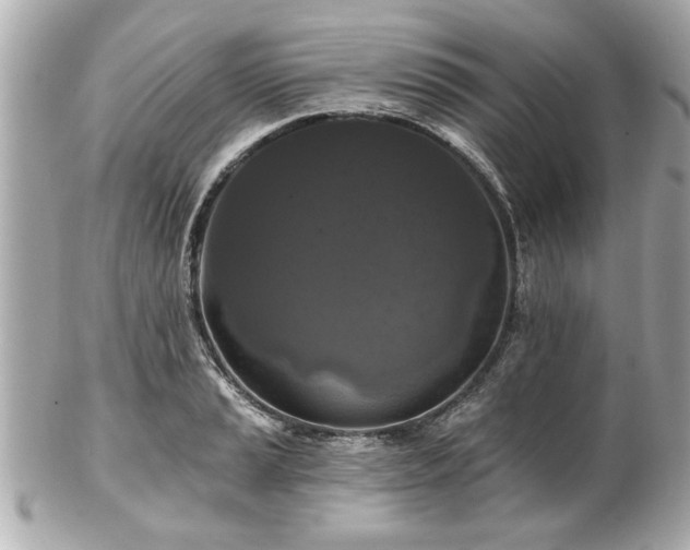 X0000102491037200808151451