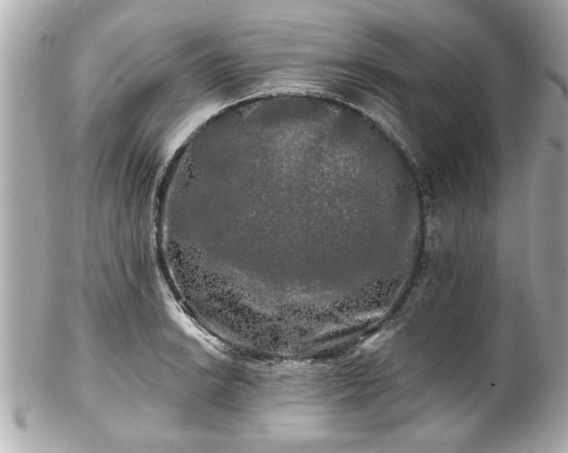 X0000102491038200808151451