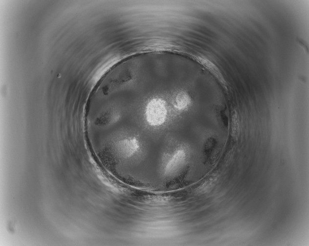 X0000102491039200808151451