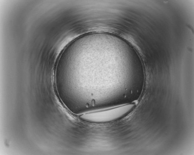 X0000102491040200808151451