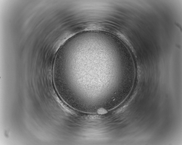 X0000102491041200808151451