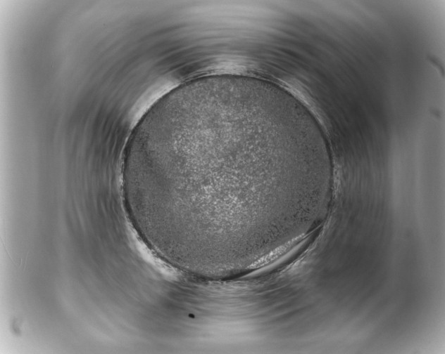 X0000102491042200808151451