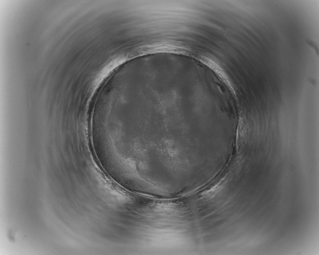 X0000102491043200808151451