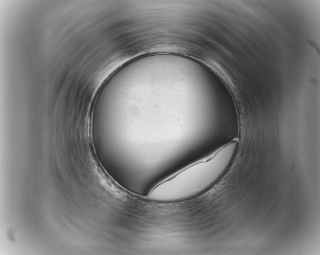 X0000102491044200808151451