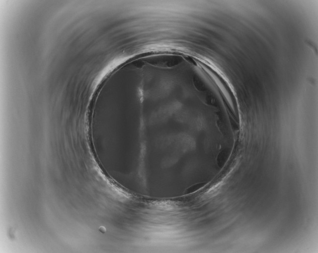 X0000102491045200808151451