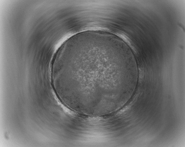 X0000102491046200808151451