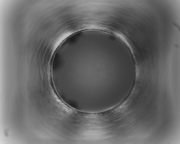 X0000102491048200808151451