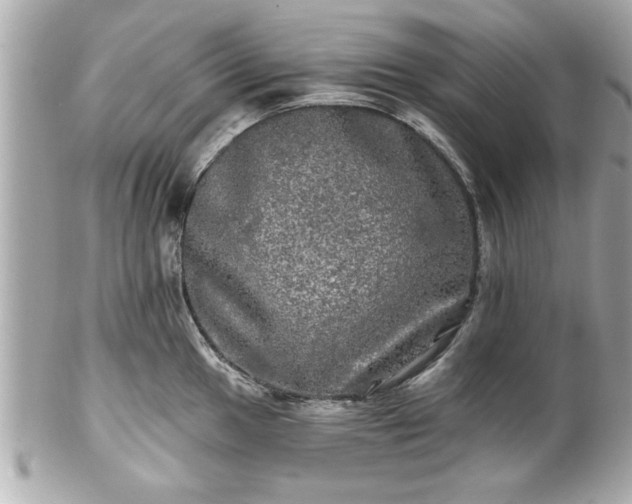 X0000102491049200808151451