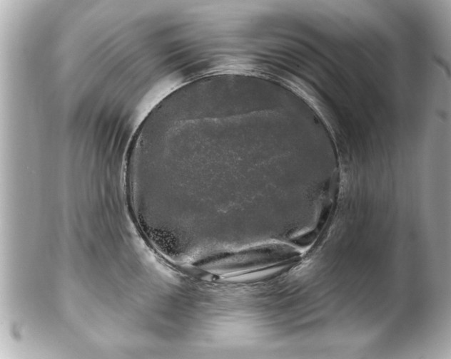 X0000102491050200808151451