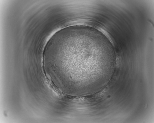 X0000102491051200808151451