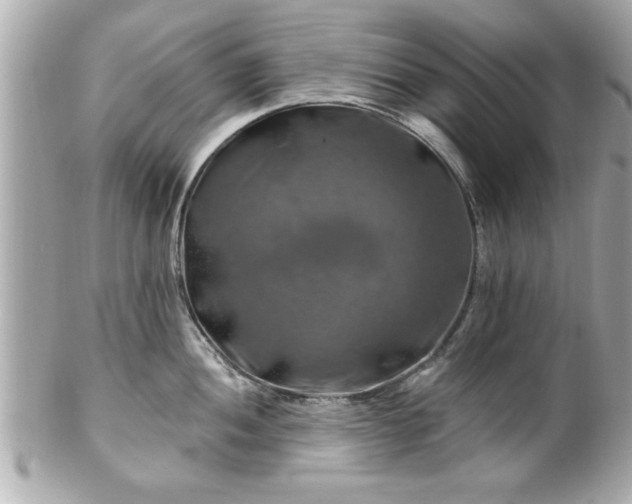 X0000102491052200808151451