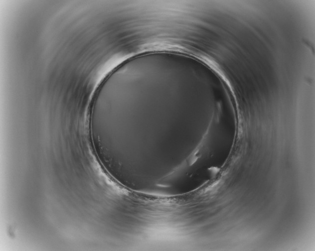 X0000102491053200808151451