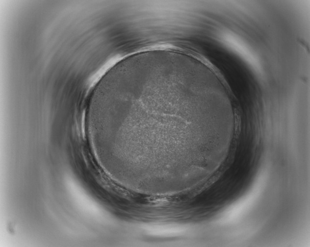 X0000102491054200808151451