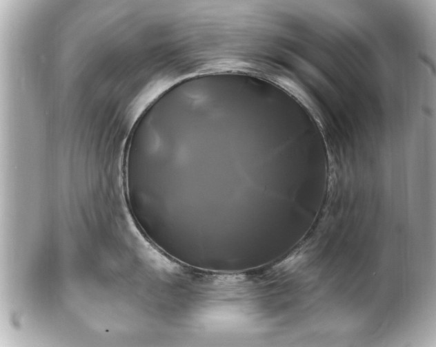 X0000102491055200808151451