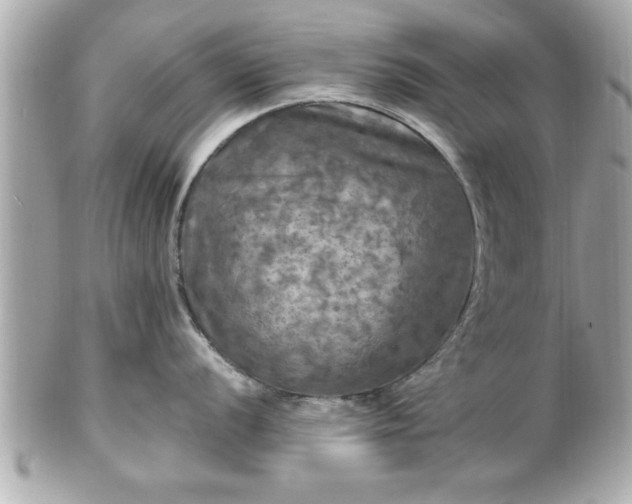 X0000102491056200808151451