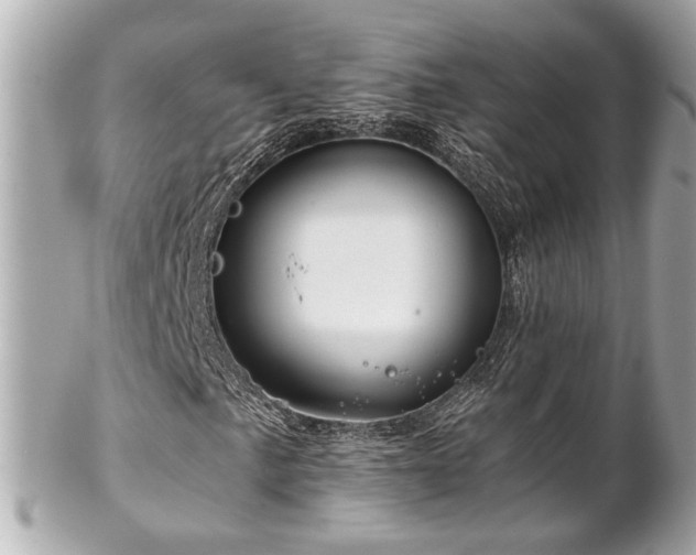 X0000102491057200808151451