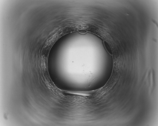 X0000102491058200808151451