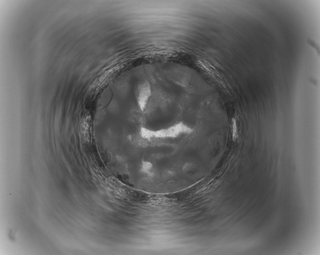 X0000102491059200808151451