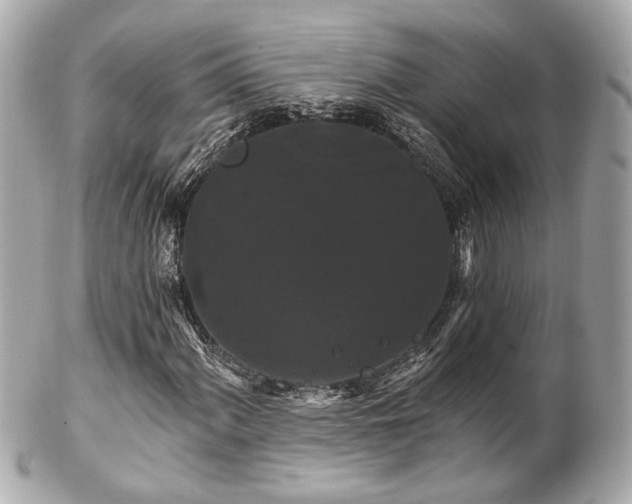 X0000102491060200808151451