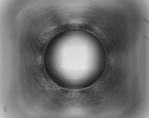 X0000102491061200808151451