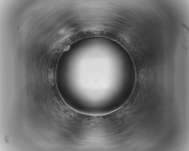 X0000102491062200808151451