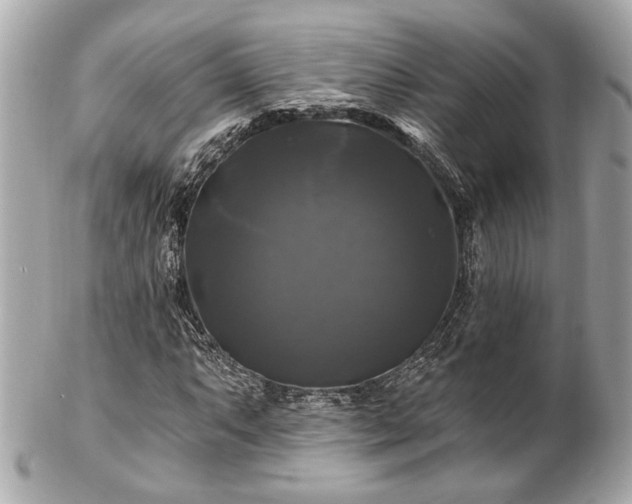 X0000102491063200808151451