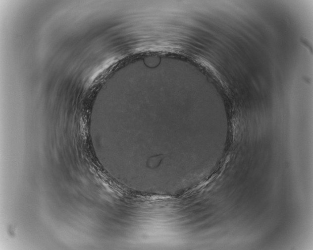 X0000102491064200808151451