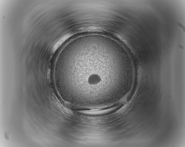 X0000102491066200808151450