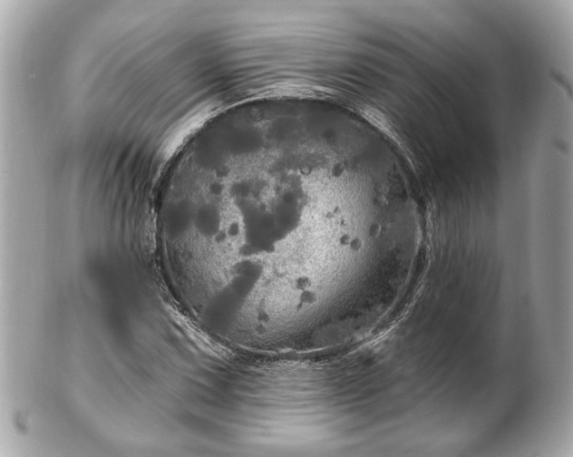 X0000102491067200808151450