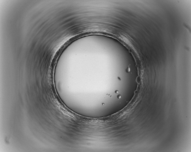 X0000102491068200808151450