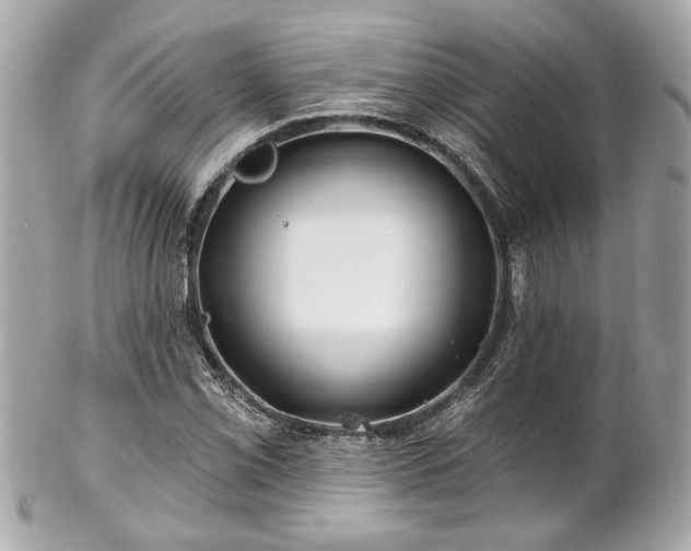 X0000102491069200808151450