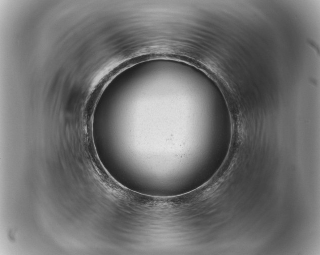 X0000102491070200808151450