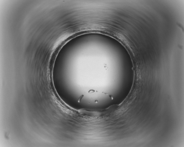 X0000102491072200808151450