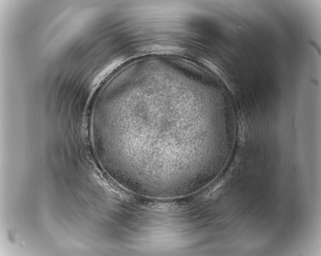 X0000102491074200808151450