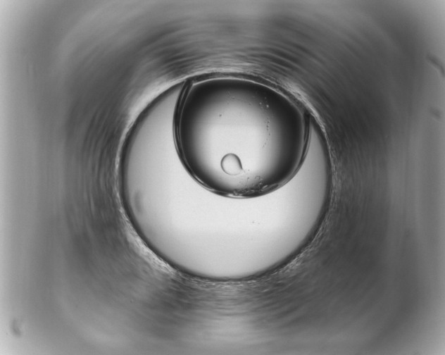 X0000102491080200808151450