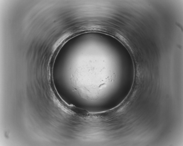 X0000102491082200808151450