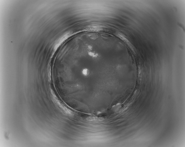 X0000102491083200808151450