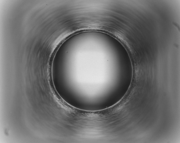 X0000102491085200808151450