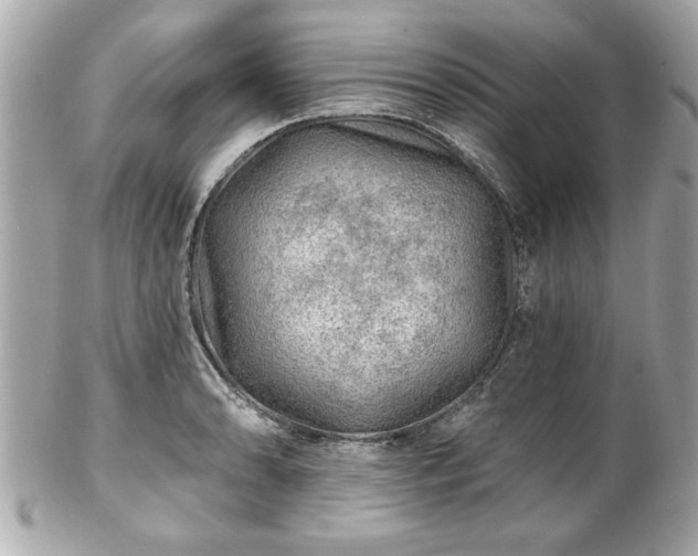 X0000102491086200808151450